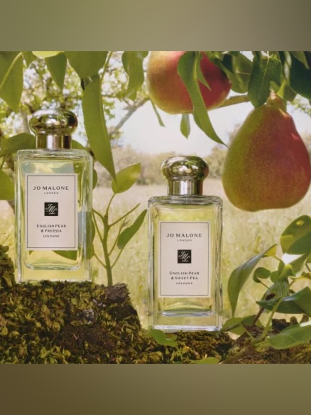 Jo Malone English Pear & Freesia Cologne w Rose 9ml New GWP